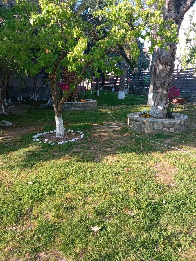 Sofia'S Garden Apartment Néa Péramos Екстериор снимка