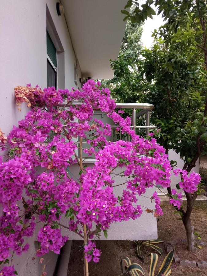 Sofia'S Garden Apartment Néa Péramos Екстериор снимка