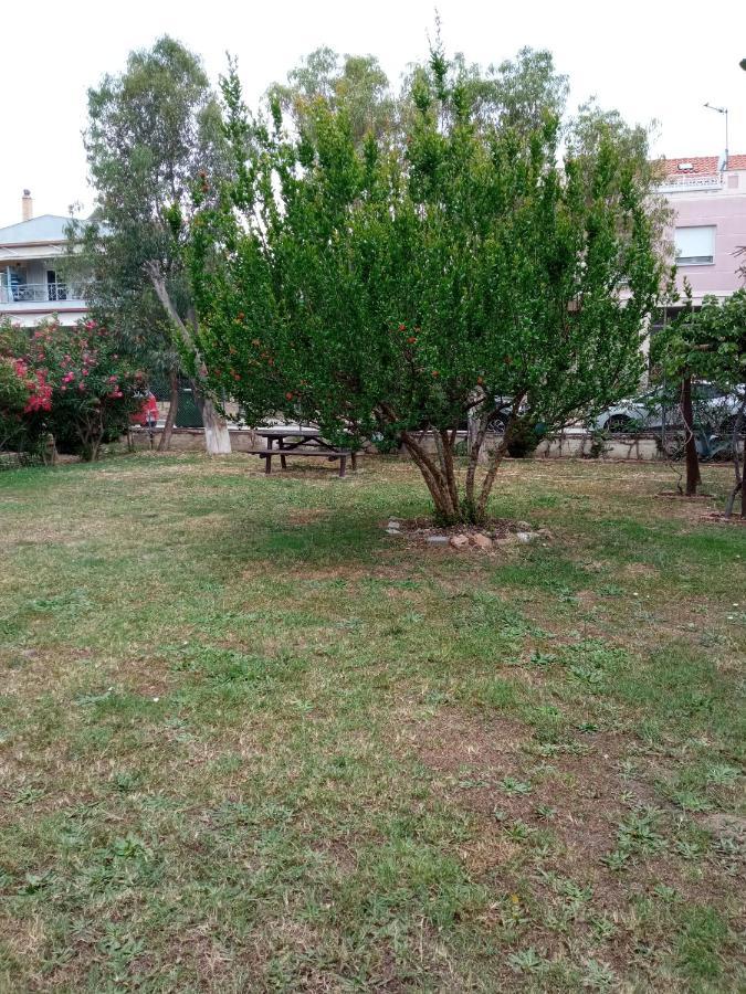 Sofia'S Garden Apartment Néa Péramos Екстериор снимка